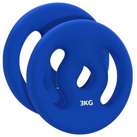 SPORTNOW Lot de 2 plaques de poids