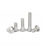 cyclingcolors 10x Vis à Tête Bombée Collet Carré DIN 603 Acier Inoxydable A2 Boulon Tête Ronde Plate Champignon Métrique, M6x80m