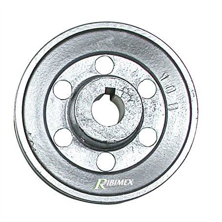 RIBITECH - Poulie diam 120 mm pour moteur électrique