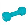 UPFIT - Haltère 2kg - A l'unité - Prise en main parfaite - Forme étudiée afin de pouvoir faire différents exercices polyvalents 