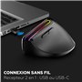 Souris ergonomique - Sans fil - MOBILITY LAB - ML314259 - Noir