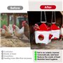 6Kg Mangeoire Poule et 8L Abreuvoir Poule Automatique pour Volailles avec