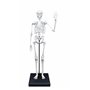 Buki - 2181 - Squelette 85cm