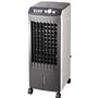 Domotech Rafraîchisseur et Humidificateur d?Air Mobile Gris 65W LG04-11