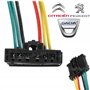 KIT RÉPARATION REMPLACEMENT FICHE PRISE FAISCEAUX PLATINE FEUX ARRIÈRE COMPATIBLE PEUG 206 207 208 301 307 308 508 1007 2008 300