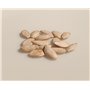 15 graines Bio à semer - Le Grenier d'Abondance - COURGETTE Ronde de Nice - Certifié AB - Cucurbita pepo