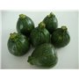 15 graines Bio à semer - Le Grenier d'Abondance - COURGETTE Ronde de Nice - Certifié AB - Cucurbita pepo