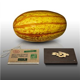 10 graines Bio à semer - Le Grenier d'Abondance - COURGE SPAGHETTI Vegetal - Certifié AB - Cucurbita pepo