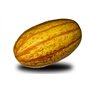 10 graines Bio à semer - Le Grenier d'Abondance - COURGE SPAGHETTI Vegetal - Certifié AB - Cucurbita pepo