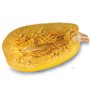 10 graines Bio à semer - Le Grenier d'Abondance - COURGE SPAGHETTI Vegetal - Certifié AB - Cucurbita pepo
