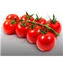 100 graines à semer - Le Grenier d'Abondance - TOMATE Cerise - Spécial Cocktail