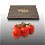 50 graines à semer - Le Grenier d'Abondance - TOMATE Roma VF - Résistante aux maladies