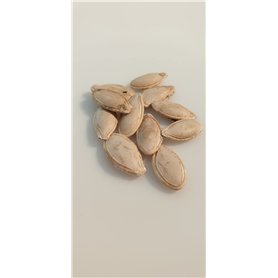 10 graines à semer - Le Grenier d'Abondance - COURGETTE Ronde de Nice - Curcubita Pepo