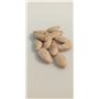 10 graines à semer - Le Grenier d'Abondance - COURGETTE Ronde de Nice - Curcubita Pepo
