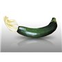 15 graines à semer - Le Grenier d'Abondance - COURGETTE Diamant Hybride F1 - Cucurbita Pepo