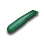 15 graines à semer - Le Grenier d'Abondance - COURGETTE Diamant Hybride F1 - Cucurbita Pepo