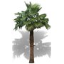 25 graines à semer - Le Grenier d'Abondance - WASHINGTONIA ROBUSTA - Palmier résistant
