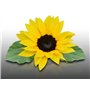 50 graines Fleurs à semer - Le Grenier d'Abondance - TOURNESOL Soleil - haie végétale - Helianthus annuus