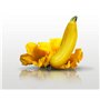 10 graines à semer - Le Grenier d'Abondance - COURGETTE Gold Rush Hybride F1 - Cucurbita Pepo