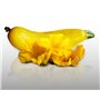 10 graines à semer - Le Grenier d'Abondance - COURGETTE Gold Rush Hybride F1 - Cucurbita Pepo