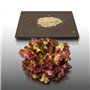 500 graines à semer - Le Grenier d'Abondance - LAITUE A COUPER Lollo Rossa - Lactuca sativa
