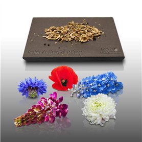 300 graines de Fleurs à semer - Le Grenier d'Abondance - PRAIRIE de Fleurs - En mélange