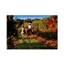 Wonderbox Balade À Cheval en Duo - Coffret Cadeau Idée Cadeau Aventure