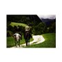 Wonderbox Balade À Cheval en Duo - Coffret Cadeau Idée Cadeau Aventure