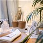 Paille Carton Kraft Biodégradable | Lot de 250 Pailles Jetables Droites 20 cm | Pailles Ecologiques | Recyclables et Compostable
