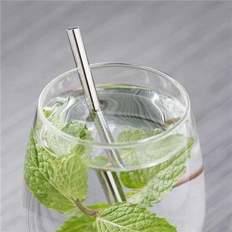 Novela Global - Paille courte 145 mm inox lot de 10 marque française