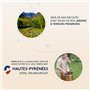 Ballot-Flurin - Bain de Bouche ultra-naturel - Régénère les gencives & Purifie l’haleine - Sans rinçage - Flacon pompe auto-mous