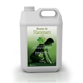 Camylle - Brume de Hammam Eucalyptus/Menthe - Fragrances à base d'Huiles Essentielles pour Hammams
