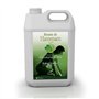 Camylle - Brume de Hammam Eucalyptus/Menthe - Fragrances à base d'Huiles Essentielles pour Hammams