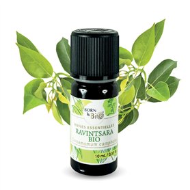 BORN TO BIO Huile Essentielle Ravintsara Bio - 100% Pure et Naturelle - Propriétés Antivirales et Immunostimulantes - Certifié A