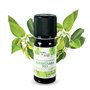 BORN TO BIO Huile Essentielle Ravintsara Bio - 100% Pure et Naturelle - Propriétés Antivirales et Immunostimulantes - Certifié A