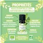 BORN TO BIO Huile Essentielle Ravintsara Bio - 100% Pure et Naturelle - Propriétés Antivirales et Immunostimulantes - Certifié A