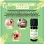 BORN TO BIO Huile Essentielle Ravintsara Bio - 100% Pure et Naturelle - Propriétés Antivirales et Immunostimulantes - Certifié A