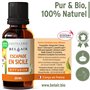 BEL AIR Escapade en Sicile huiles essentielle bio pure pour diffuseur orange douce parfum oranger