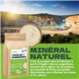 Detox Organica - Terre de Sommieres en Poudre 1kg - Origine France - Terre de Sommieres anti Punaise de Lit - Détachant Naturel 