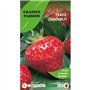 Graines Passion sachet de graines Fraise Grandian F1