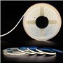 Ruban LED 5M | Blanc Froid 4000K | 480 LED/m | 4750 Lumens | Ultra Lumineux 24V | Largeur 8MM diffusion 180° | Rendu précis CRI