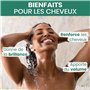 ORINKO - 3 Savons d'Alep Traditionnel de 120G + E-Book - 40% d'Huile de Baies De Laurier - Soin Visage Corps et Cheveux – Tous T