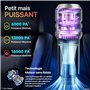Souffleur à Moteur Puissant