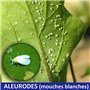 Agro Sens Savon Noir Naturel à l'huile d'olive. Extra Pur spécial Jardin 1 Litre - 1 Litre