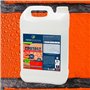 Traitement hydrofuge anti-mousse pour toitures et façades