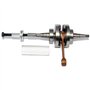 Easyboost Outil Montage Roulements Vilebrequin pour MBK Booster Nitro Stunt Derbi AM6 Rieju MBK XLIMIT XPOWER Sherco DT XP6 XPS 