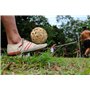 Sepak Takraw Cane Ball