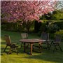 (Sol-éco) Huile Pure Tung | Protection et entretien du bois intérieur/extérieur | Contact alimentaire | Meubles de jardin, plan 
