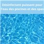 Brome Spa et Piscine, Entretien et Désinfection de l’Eau/Elimine Les impuretés de l’Eau - Dissolution très Lente - Pastilles de 