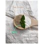 Dentifrice en poudre Menthe&Siwak - 60g - Ayurvédique - Soin Protecteur et Blanchissant Naturel - L'Oursin Blanc